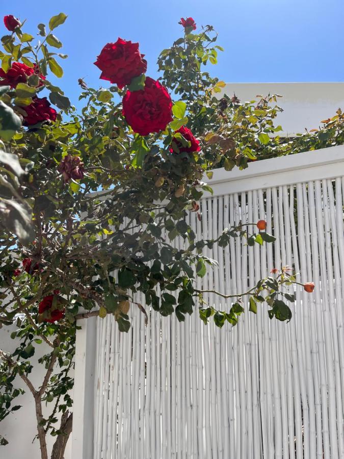 Aleria Central Apartments Naxos City Exterior photo